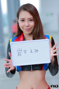 宠物小精灵日月