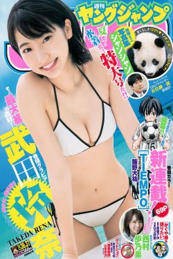 爱情公寓番外篇